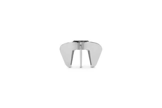 Sw100 Champagne Star SatinSatin Chrome image number 1